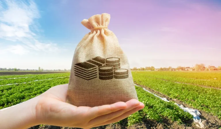 نصائح للاستثمار في الأراضي